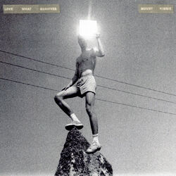 Cover of Love What Survives