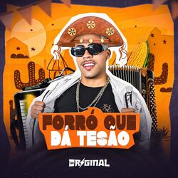 Cover of Forró Que Dá Tesão