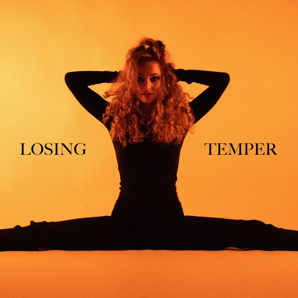 Album cover of Losing Temper
