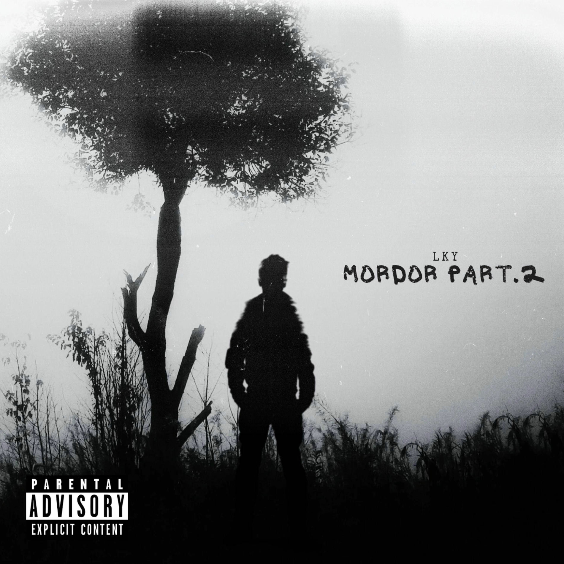 Album cover of Mordor Part.2