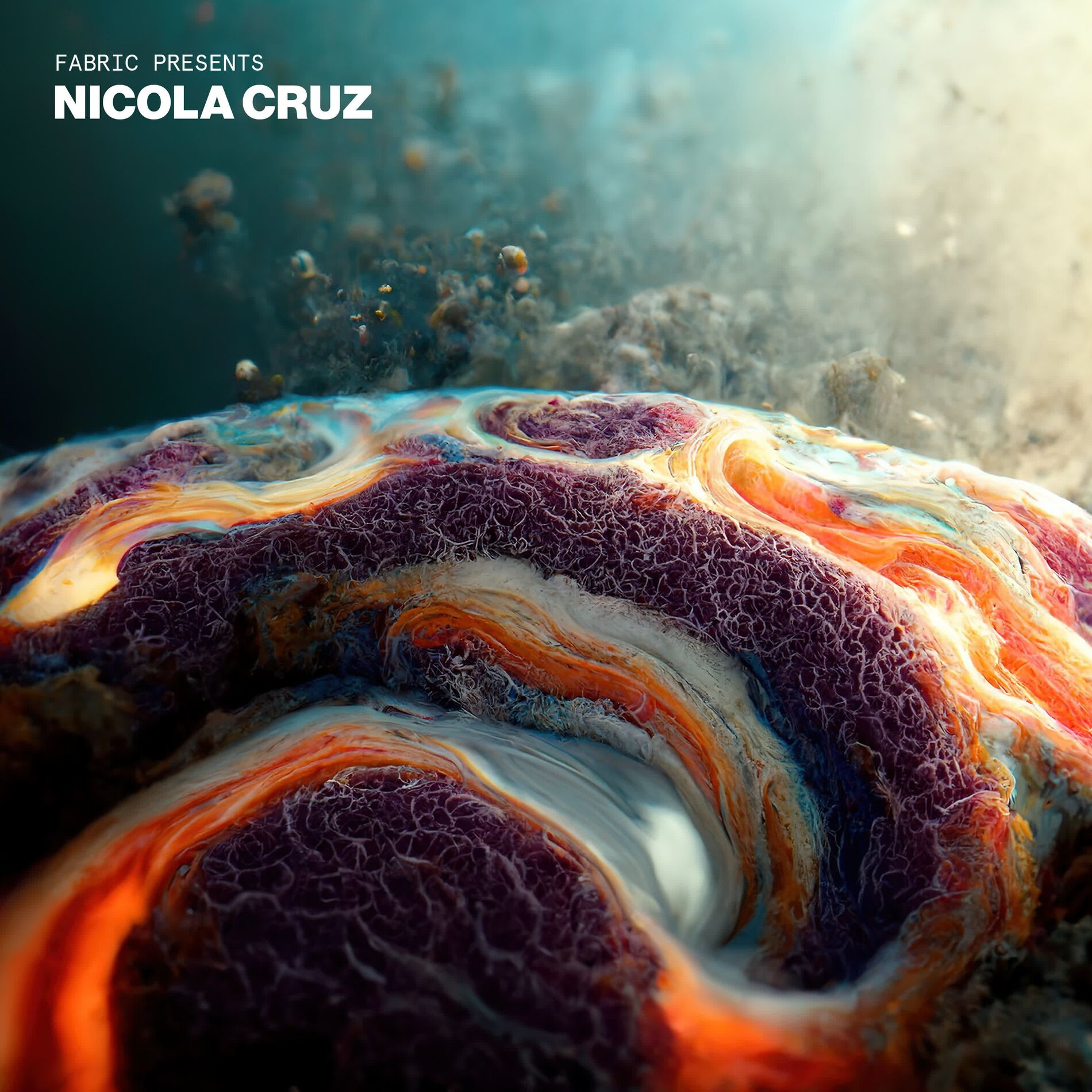 Album cover of fabric presents Nicola Cruz (DJ Mix)