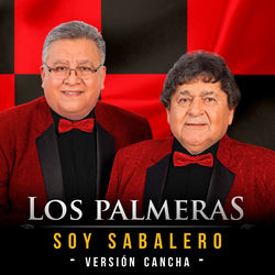 Pochette album