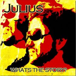 Cover of What´s the Story?
