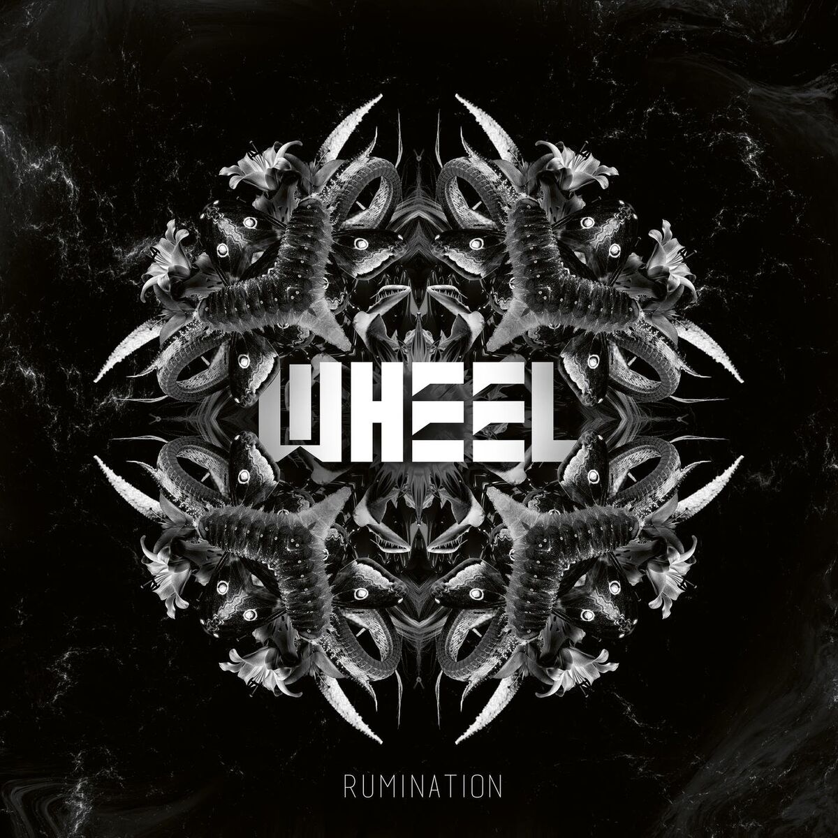 Album cover of Rumination