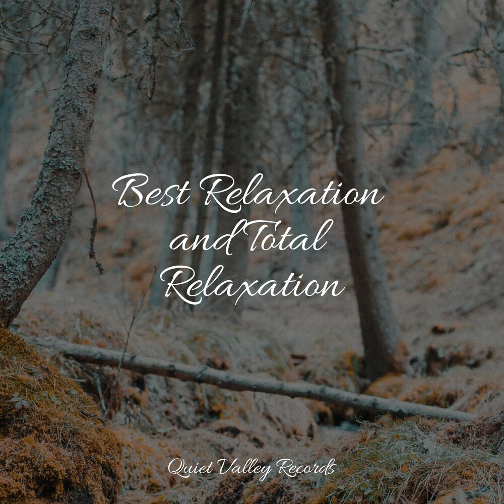 Picture of Best Relaxation and Total Relaxation
