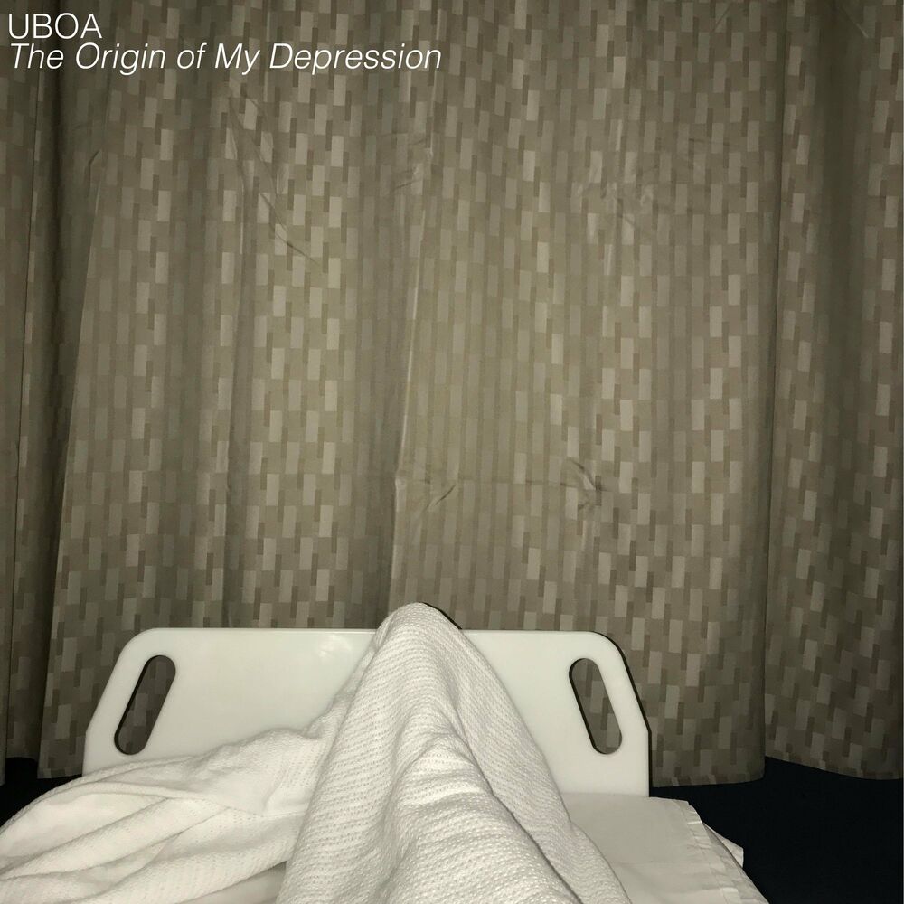 Picture of The Origin of My Depression