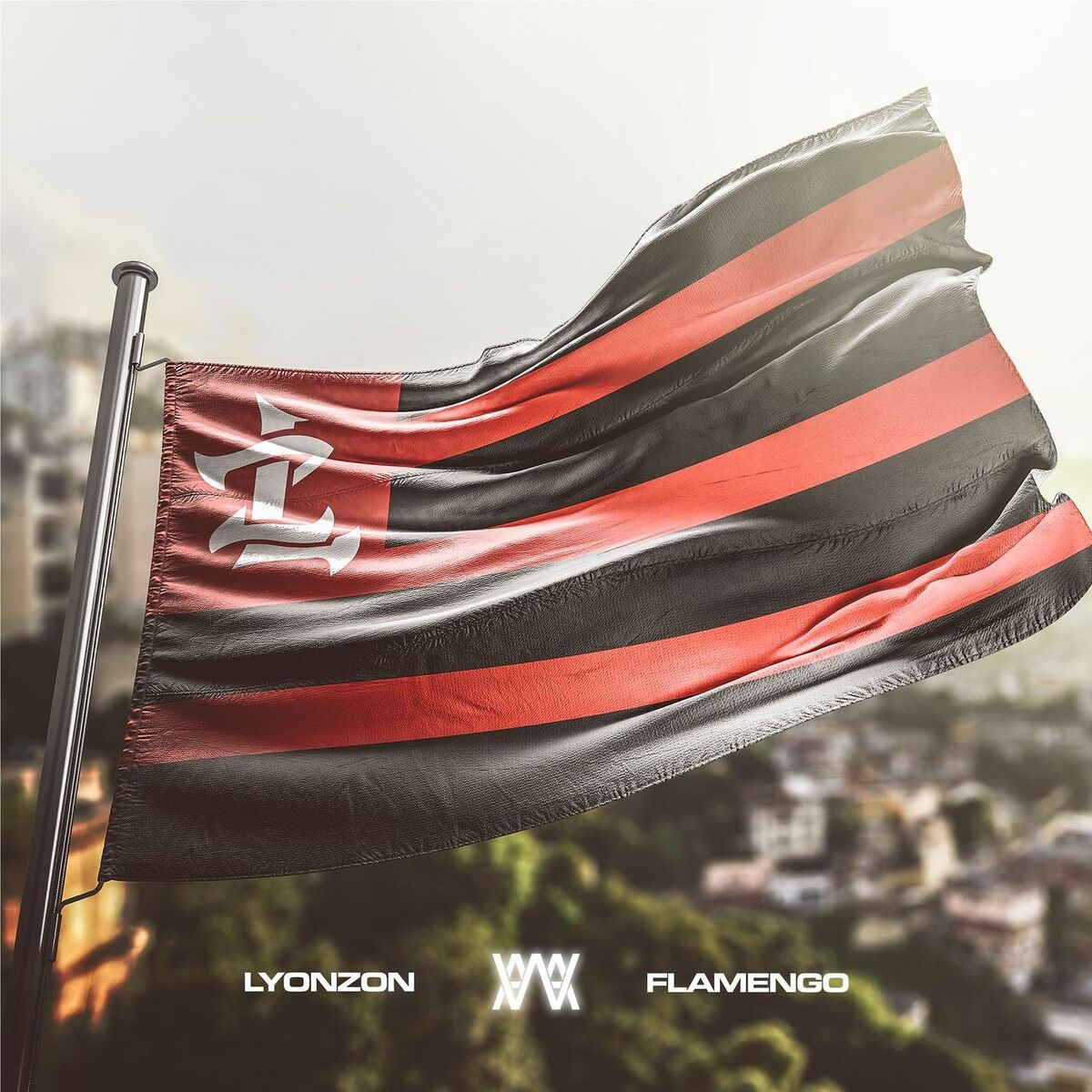 Album cover of Flamengo