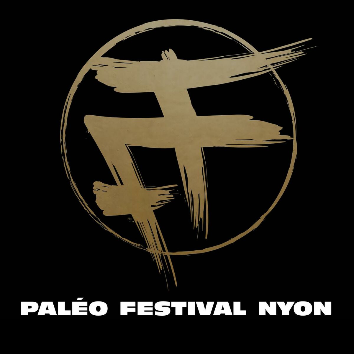 Album cover of Live au Paléo Festival
