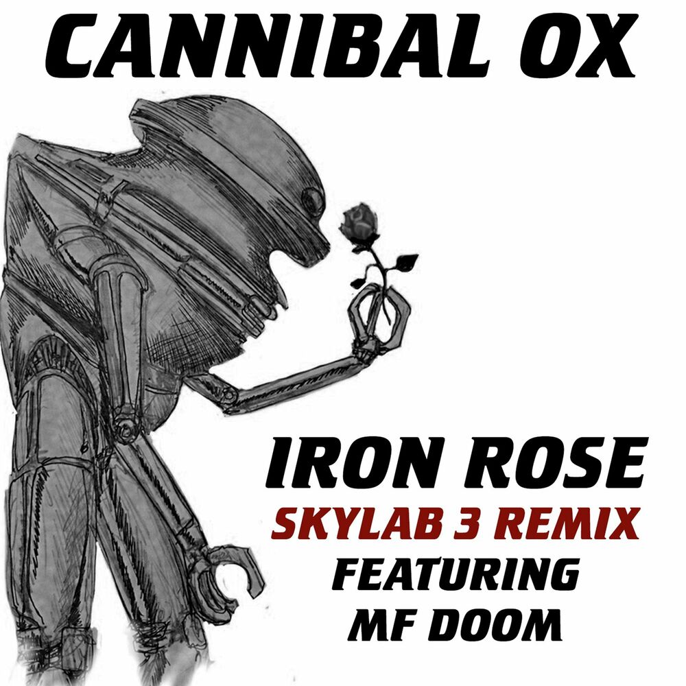 Picture of Iron Rose (Skylab 3 Remix)