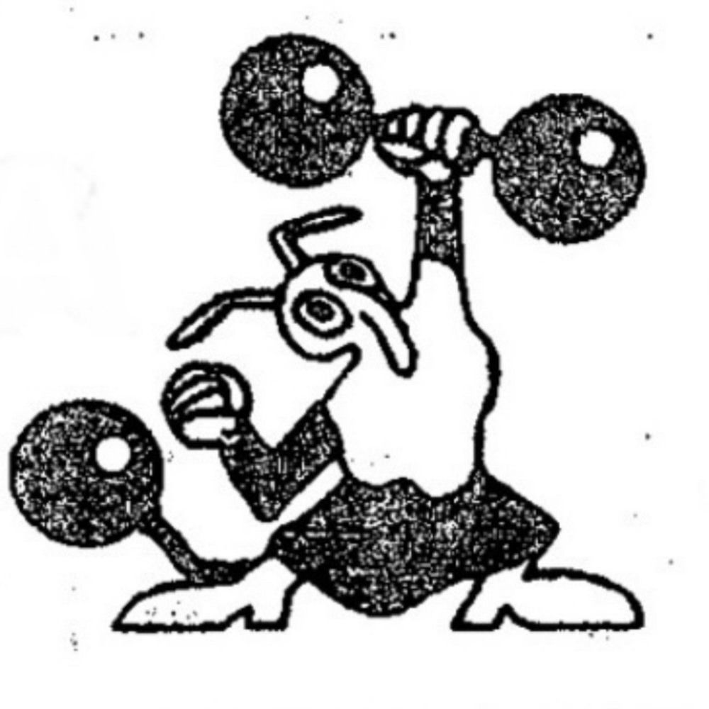 Split 7" cover