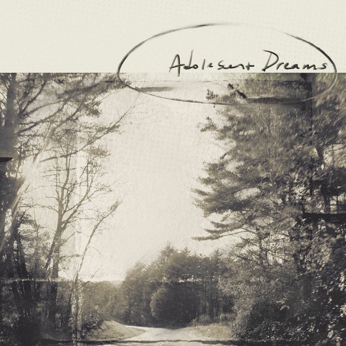 Album cover of adolescent dreams