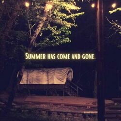 Cover of Summer Has Come and Gone.