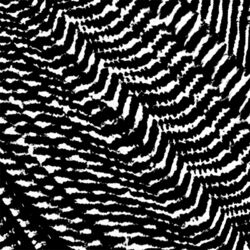 Cover of Isomorphism / Transparency