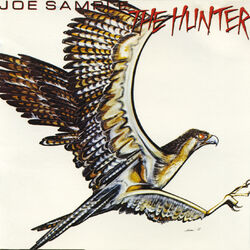 Cover of The Hunter