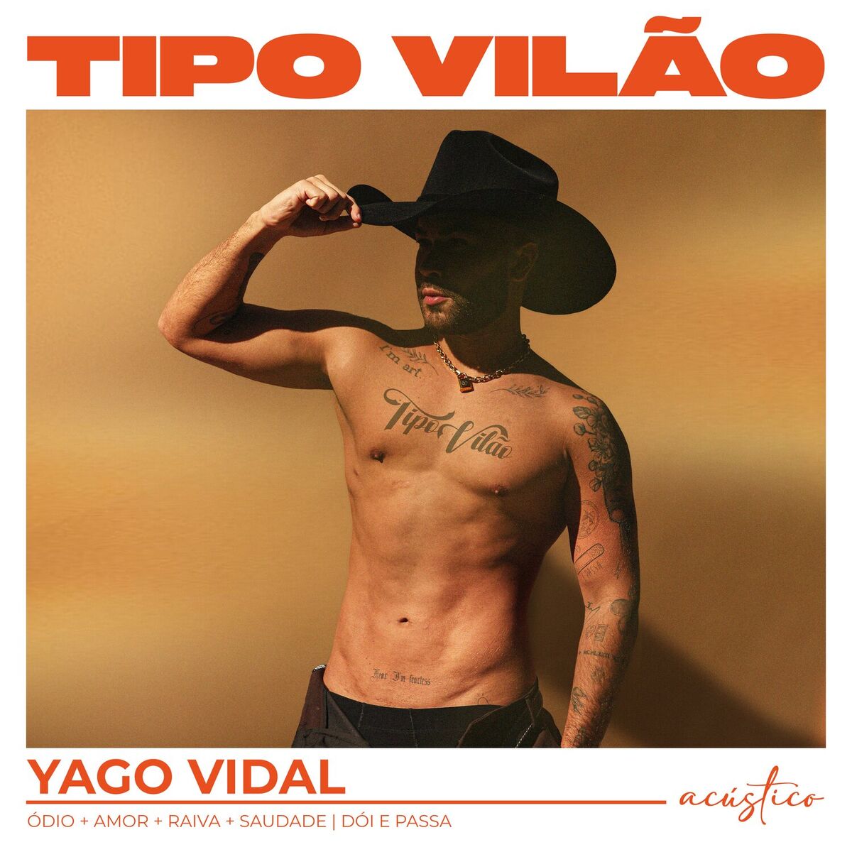 Album cover of Tipo Vilão (Acústico)