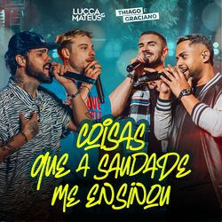 Cover of Coisas Que a Saudade Me Ensinou (Ao Vivo)