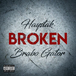 Cover of Broken