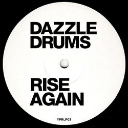 Cover of Rise Again