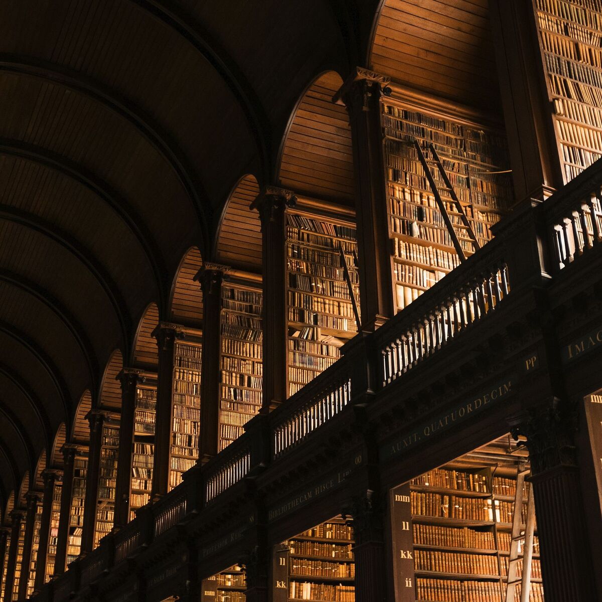 Album cover of The Hidden Library