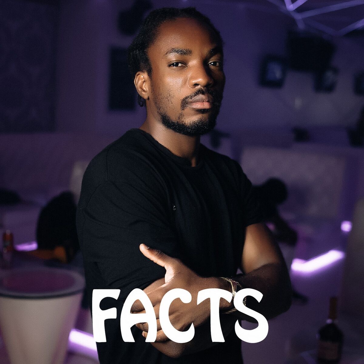 Album picture of Facts