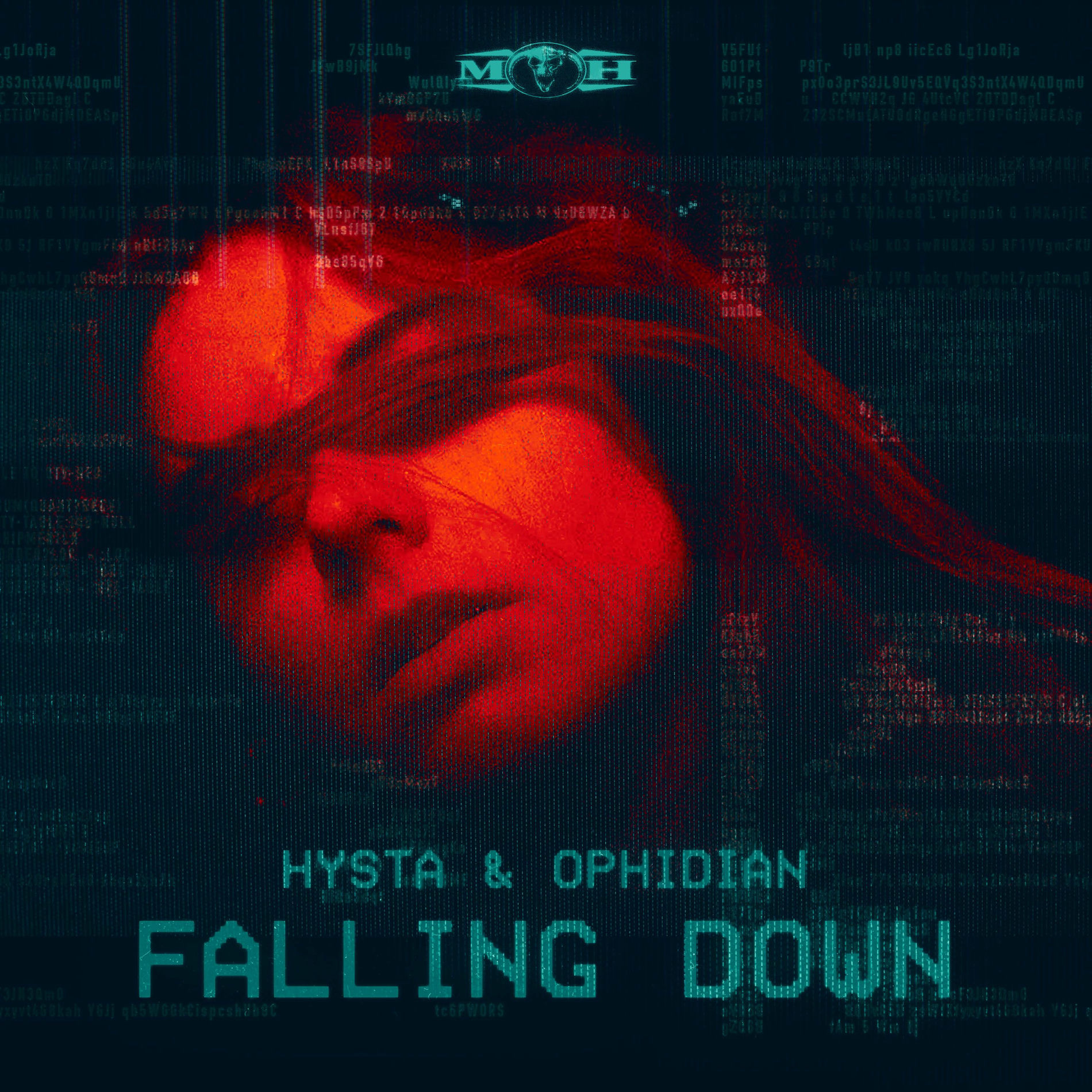 Album cover of Falling Down