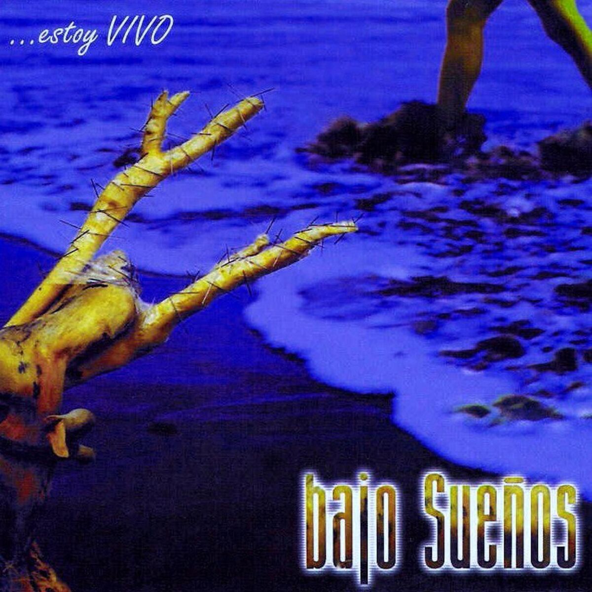 Album cover of Otoño