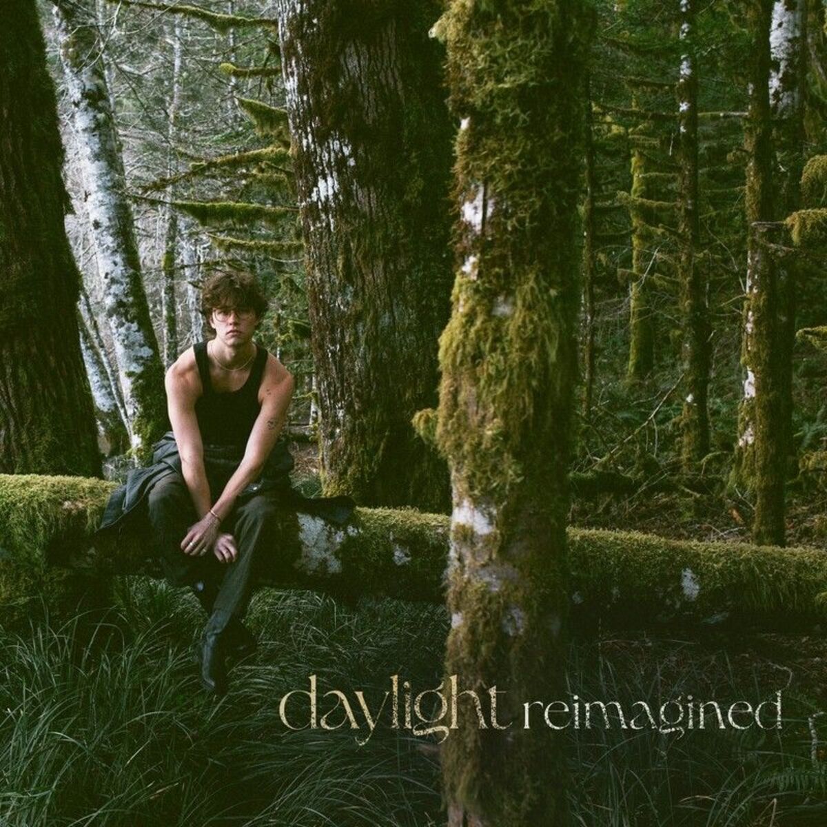 Album cover of Daylight