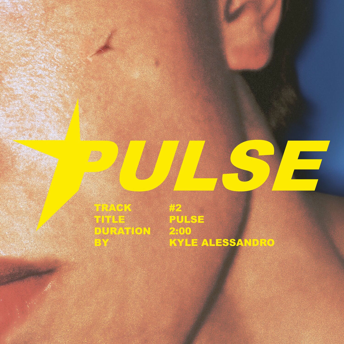 Album cover of PULSE
