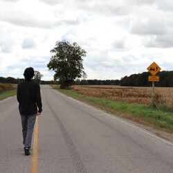 Cover of wrong path