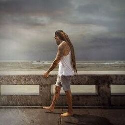 Cover of Summer Storms