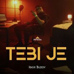 Cover of Tebi je