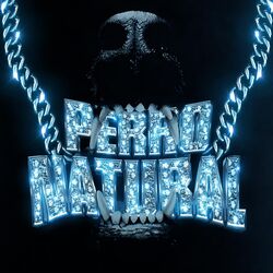 Cover of PERRO NATURAL