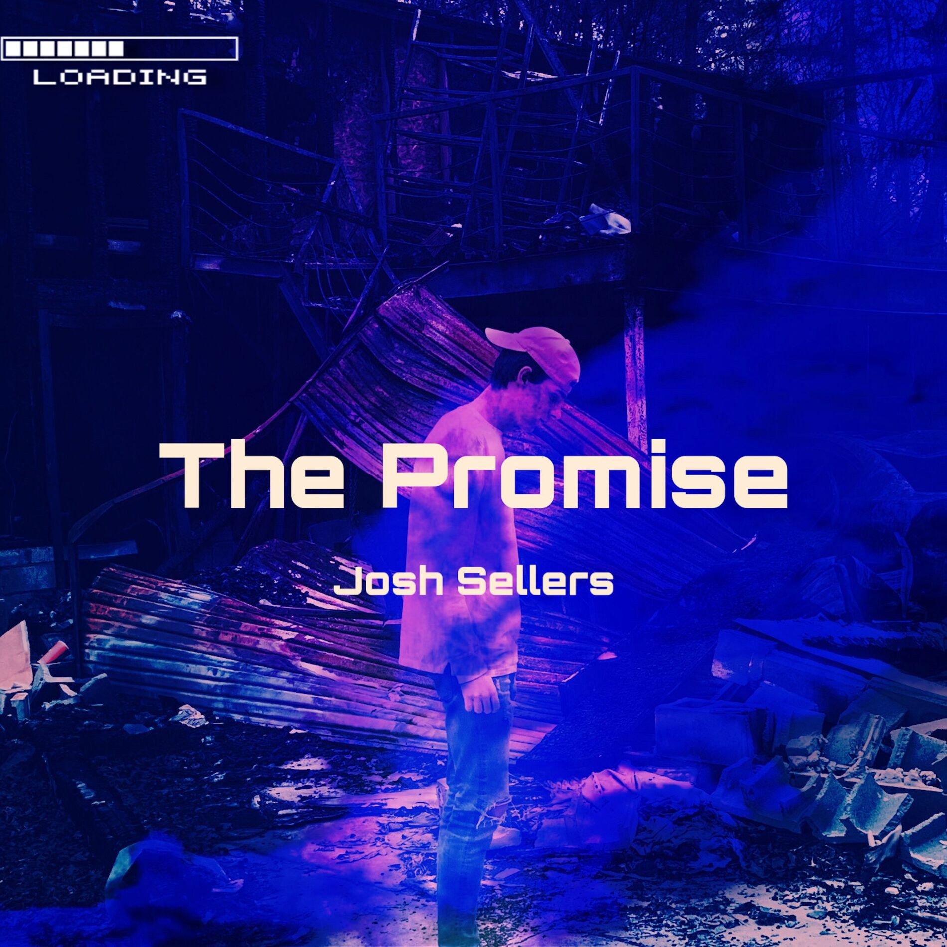 Album cover of The Promise