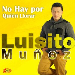 Cover of No Hay por Qué Llorar