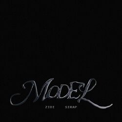 Cover of MODEL