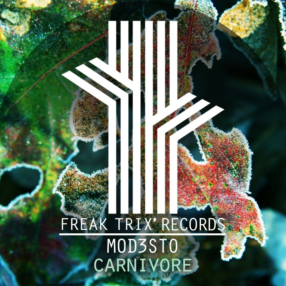 Picture of Carnivore