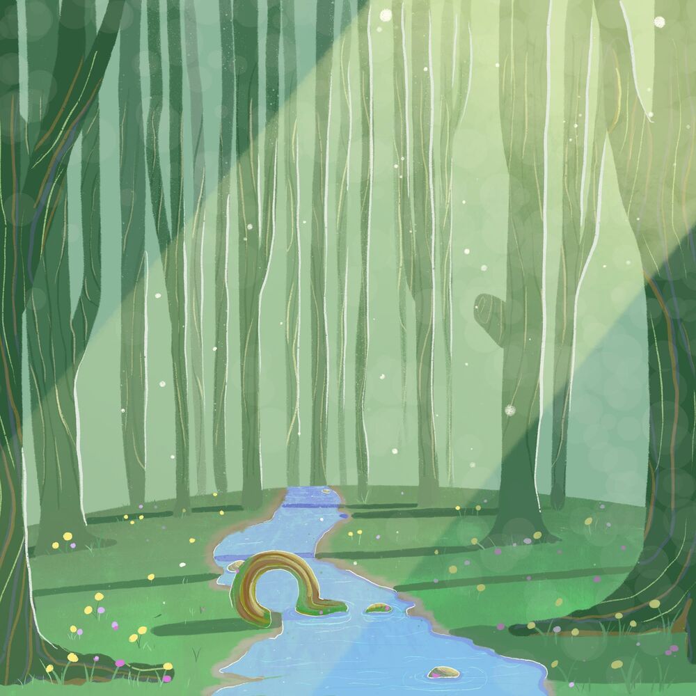 Picture of Opal Forest