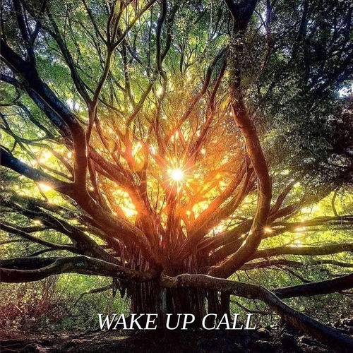 Wake Up Call