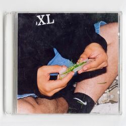 Cover of Grooves on Tapes