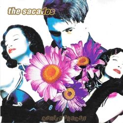 Cover of Contra Attacan