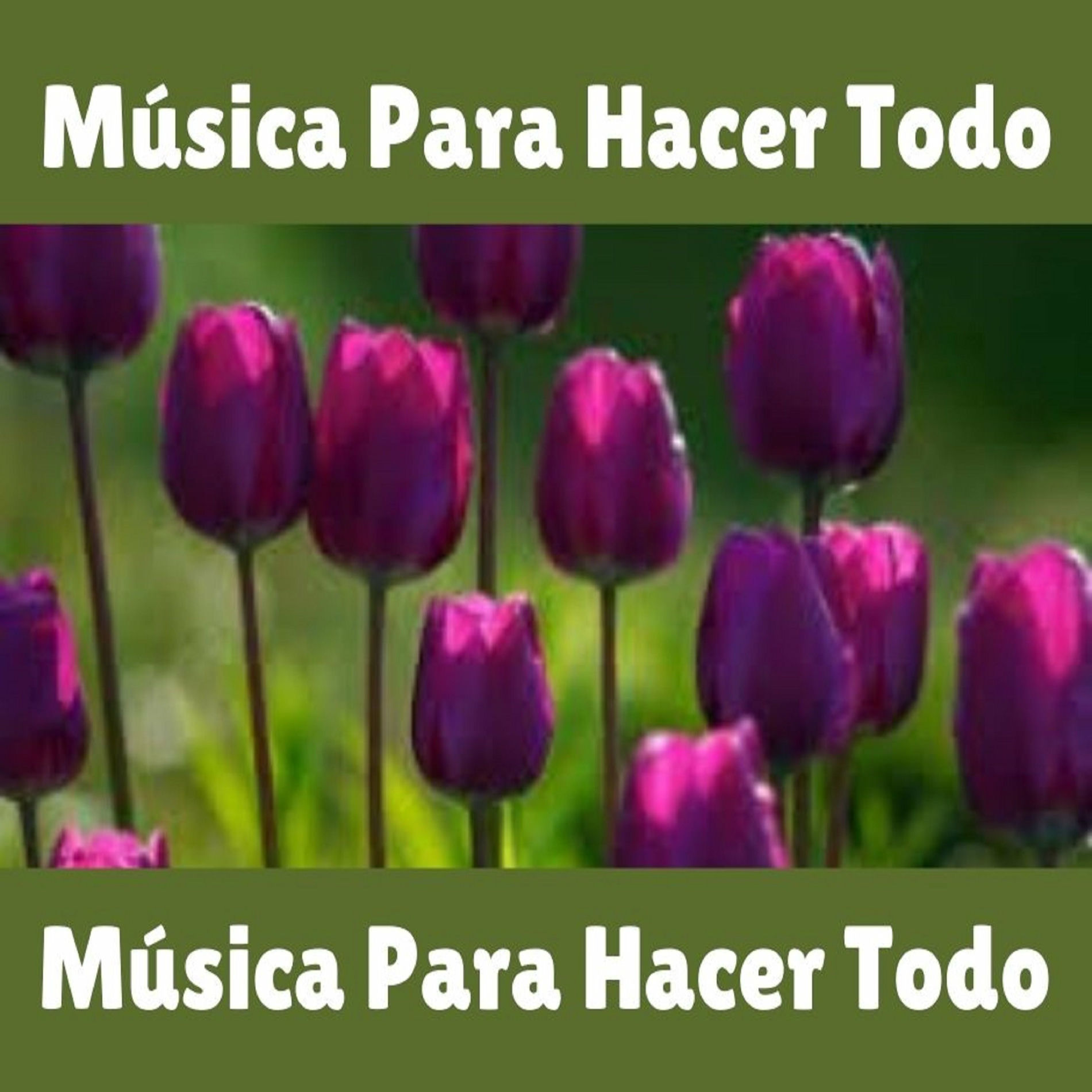 Album cover of Música para Hacer Todo