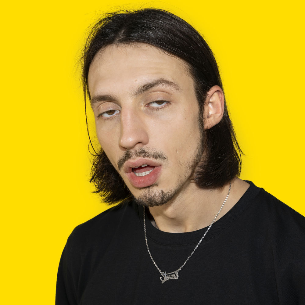 Picture of Normal