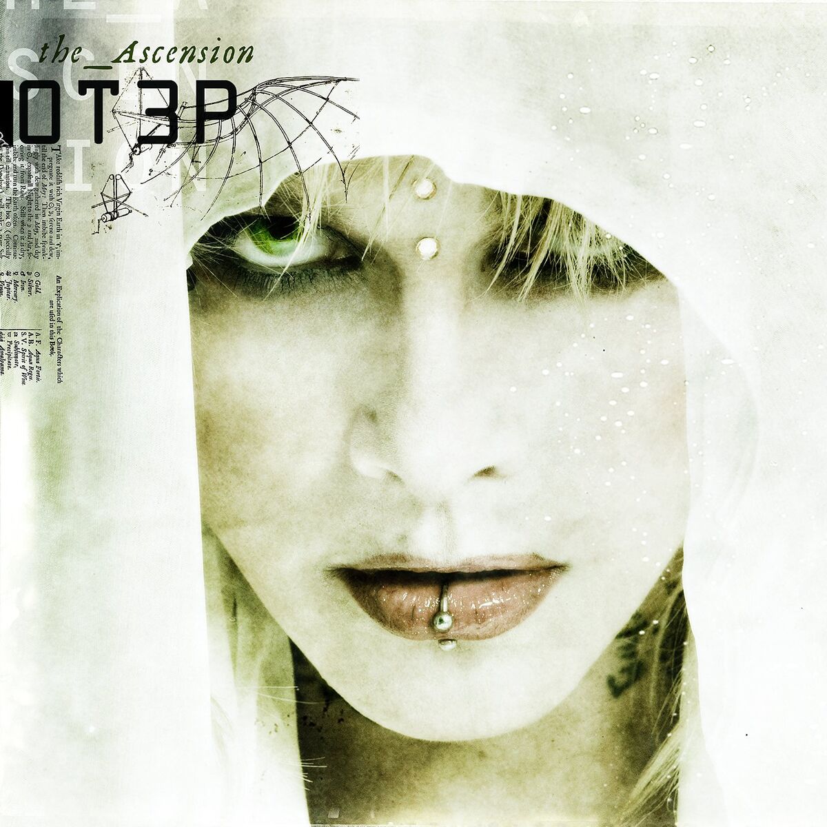 Album cover of The Ascension