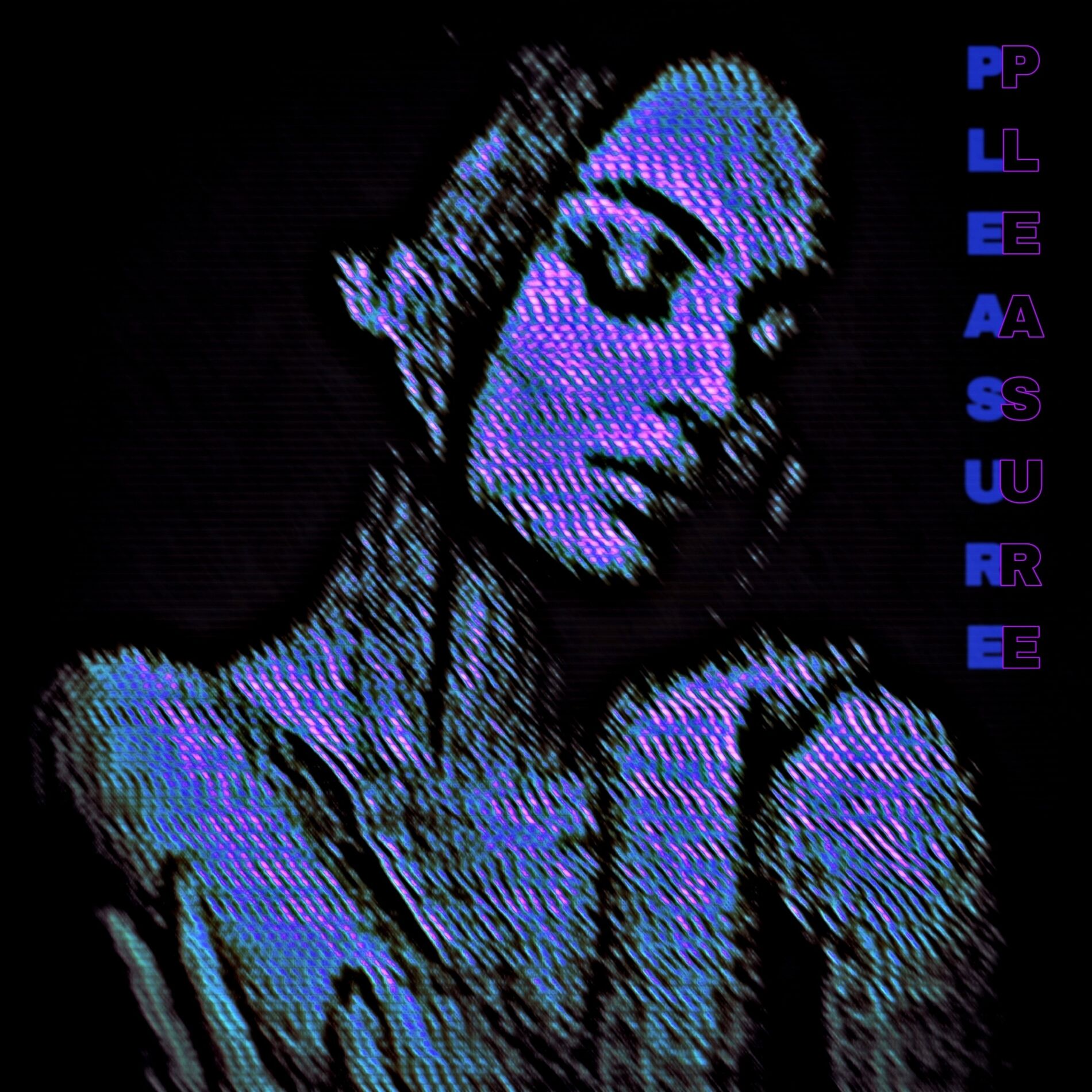 Album cover of Pleasure
