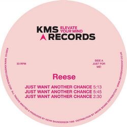 Cover of Just Want Another Chance