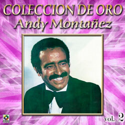 Cover of Colección de Oro: El Espectacular Andy Montañez, Vol. 2