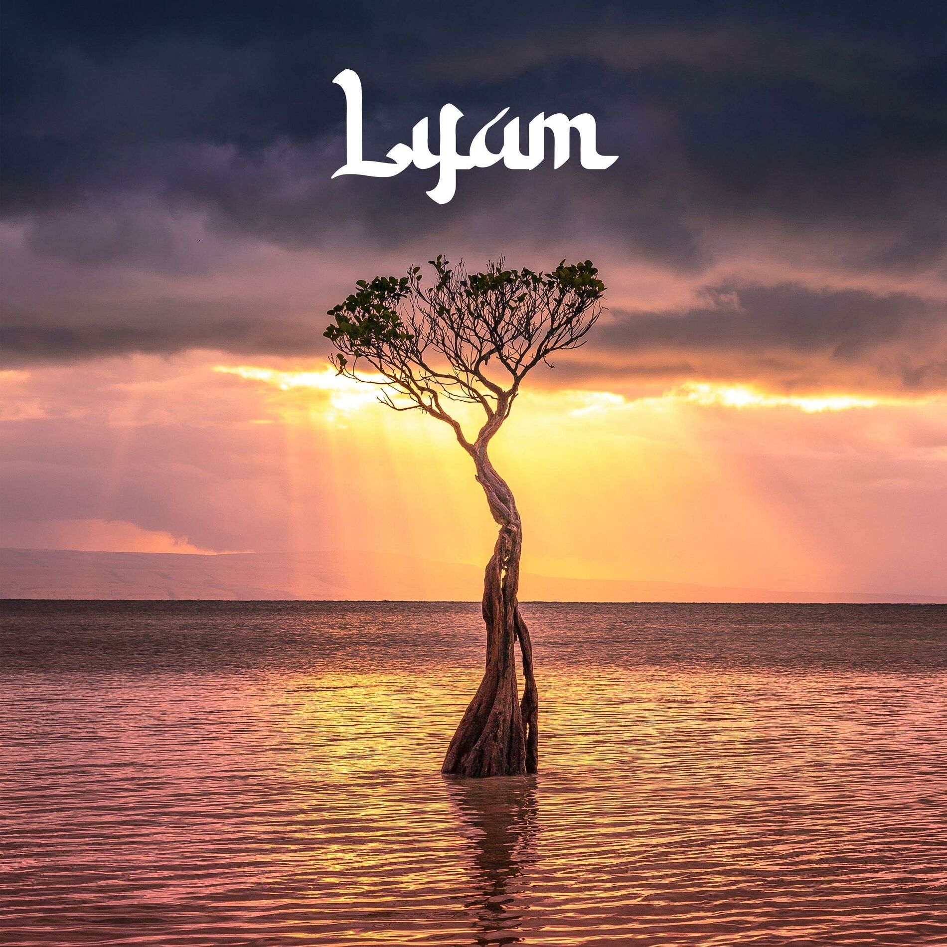 Album cover of Pas là