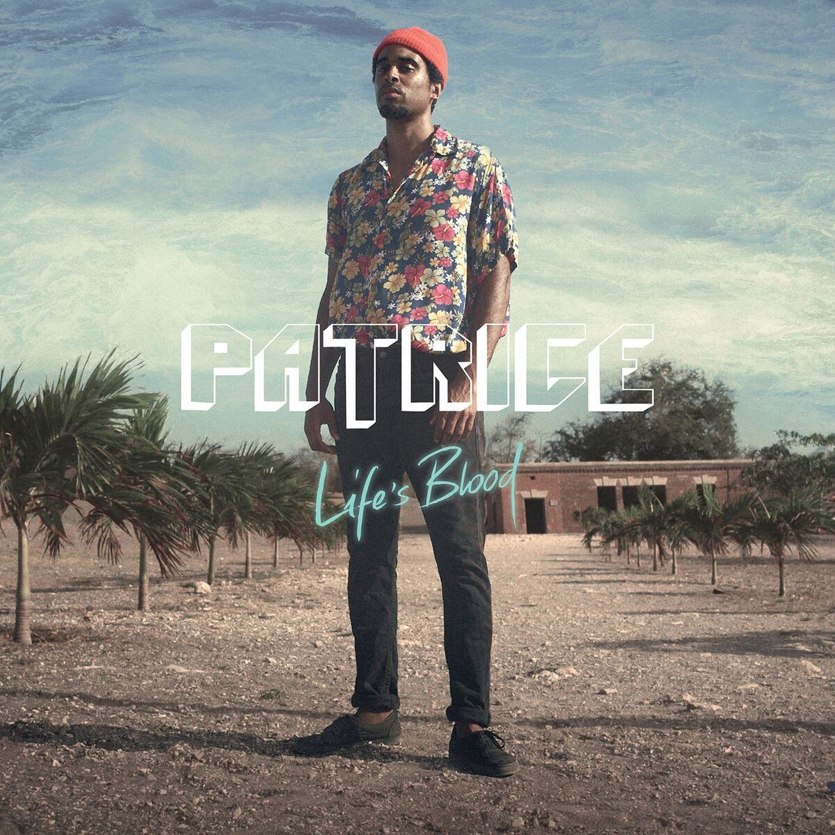 Album cover of We Are the Future in the Present