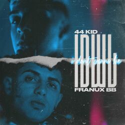 Cover of IDWL