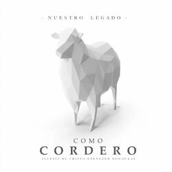 Cover of Como Cordero